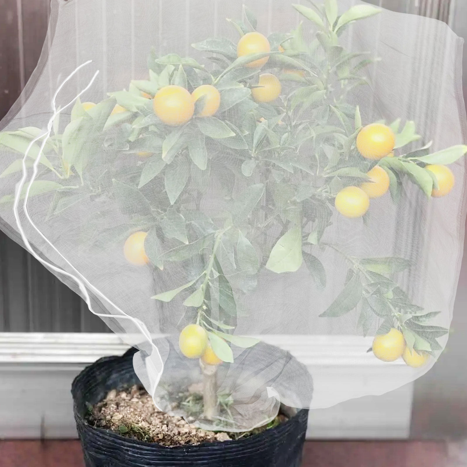 8 szt. siatek ochronnych na ro – Mesh Net Bag recenzja i cena